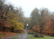 بازگشت باران به سوادکوه