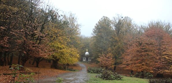 بازگشت باران به سوادکوه