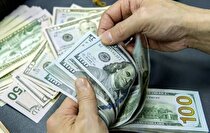 افزایش قیمت دلار و کالا ناشی از عوامل بنیادی و روانی است 