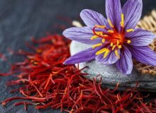 افزایش موارد تقلب در پودر و عصاره‌های زعفران