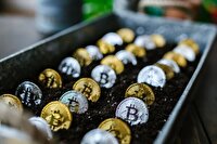 ریسک دارندگان ارزهای دیجیتال در چیست