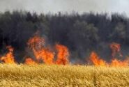 نقش پررنگ آتش‌سوزی مزارع در تشدید کشنده آلودگی هوا