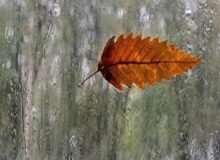 آیا کم آبی با بارش‌های زمستانه جبران می‌شود؟