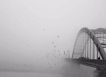 آلودگی هوا در ۱۵ شهر خوزستان