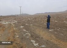 اخطار سازمان جهاد کشاورزی برای جمع آوری پلاستیک باقی مانده از کشت‌های بهاره