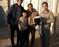 تحویل عقاب زخمی به اداره محیط زیست فریمان