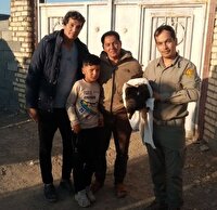 تحویل عقاب زخمی به اداره محیط زیست فریمان