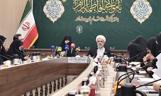 تمرکز هفته زن از ۱۳ آذر بر تبیین «الگوی مقاومت» بانوی ایرانی