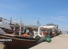 توقیف دو شناور صیادی غیرمجاز با ۶۰۰ کیلوگرم آبزیان دریایی