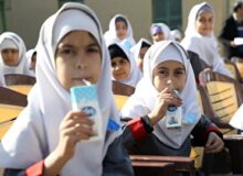 توزیع شیر در مدارس قم از ۱۵ آذر