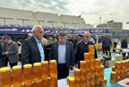 جشنواره عسل مسجدسلیمان یک رویداد مهم اقتصادی و فرهنگی