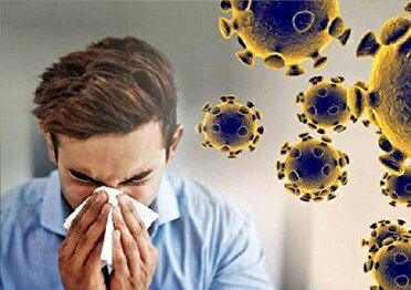 افزایش ۲۰ درصدی ابتلا به آنفولانزا در هرمزگان