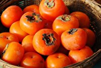 افزایش انسداد گوارشی ناشی از مصرف بیرویه انار و خرمالو در کودکان