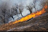 سالانه ۱۸ هزار آتش‌سوزی در کشور ثبت می‌شود