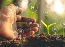 البرز میزبان نوزدهمین کنگره علوم خاک ایران