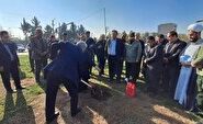 کاشت نهال به یاد شهدای جنگ تحمیلی ۱۲ روزه در ارومیه