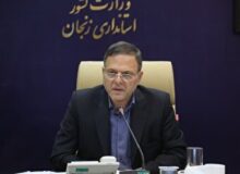 استاندار زنجان بر همکاری همه دستگاه‌ها در مقابله با آنفولانزا تاکید کرد