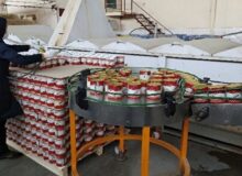 بیش از نیمی از صادرات کشاورزی، محصولات فرآوری شده است