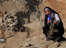 کردستان پیشرو در طرح ملی نهال کاری