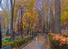 بارش باران در باغ شهر خوانسار