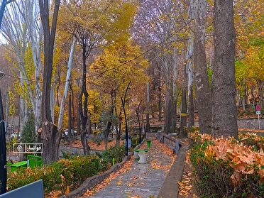 بارش باران در باغ شهر خوانسار