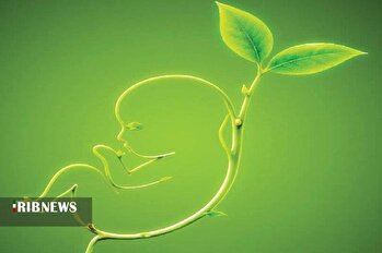 ۲ میلیون تومان حمایت ماهیانه در انتظار مادران