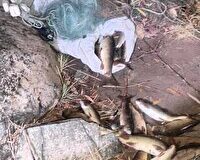 جمع‌آوری ادوات صید غیرمجاز از رودخانه زاب سردشت