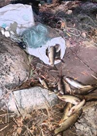 جمعآوری ادوات صید غیرمجاز از رودخانه زاب سردشت