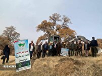 اجرای پویش کاشت نهال همزمان با سراسر کشور از عرصه‌های منابع طبیعی بویراحمد