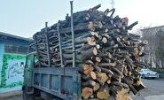 چهار تن هیزم جنگلی در اردبیل توقیف شد