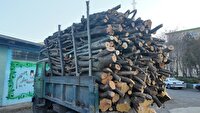 چهار تن هیزم جنگلی در اردبیل توقیف شد