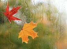 خوزستان بارانی شد