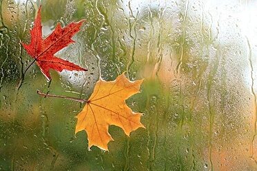 خوزستان بارانی شد