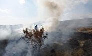 مهار آتش‌سوزی در حریم پارک ملی دریاچه ارومیه