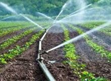 تجهیز ۲۹ هزار هکتار از اراضی قم به سامانه‌های نوین آبیاری