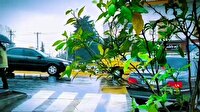 مازندران زیر باران لبخند زد