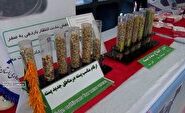برپایی نمایشگاه دستاوردهای علمی در دامغان