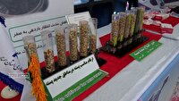برپایی نمایشگاه دستاوردهای علمی در دامغان
