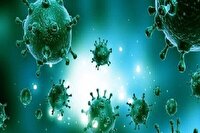 ثبت اولین مرگ ناشی از آنفلوآنزای H۳N۲ در هرمزگان