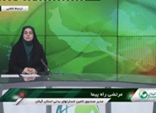 بخشودگی جرایم بیمه‌نامه شخص ثالث به مناسبت روز بیمه