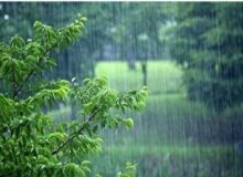 بارش باران در سواحل دریای خزر