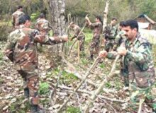 رفع تصرف ۶ هزار مترمربع زمین ملی در شهرستان سیاهکل