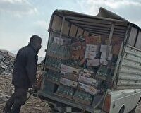 ضبط و امحای مواد غذایی غیر بهداشتی در بوکان