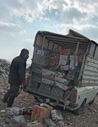 ضبط و امحای مواد غذایی غیر بهداشتی در بوکان