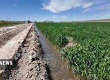 اجرای طرح‌ آبخیز تا جالیز در روستا‌های قم