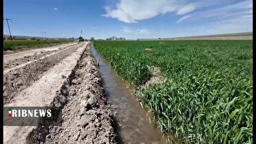 اجرای طرح آبخیز تا جالیز در روستاهای قم