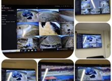 حغاظت از تالاب های فارس با دوربین‌های برد بلند