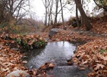 پاییز رویایی روستای گردشگری سینی‌کهنه شهرستان کلات