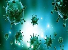 ثبت دومین فوت قطعی ناشی از بیماری آنفلوانزا در هرمزگان