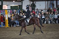 ظرفیت اسب کاسپین برای تبدیل شدن به برند بین‌المللی